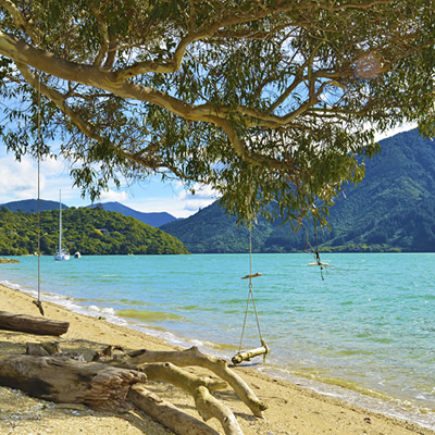 Head of Endeavour Inlet to Camp Bay