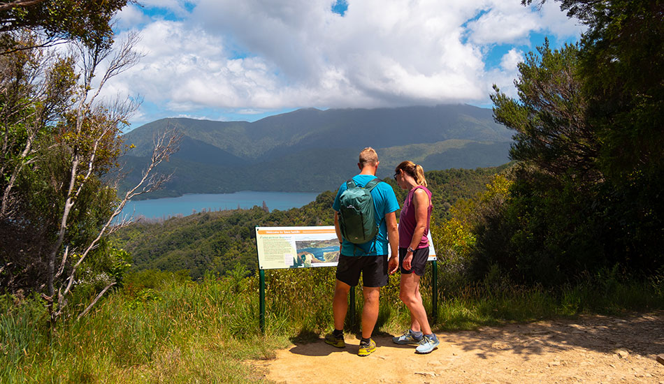 Meretoto / Ship Cove to Endeavour Inlet